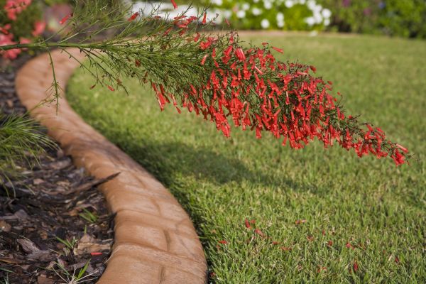 Brick Edging in Chesapeake