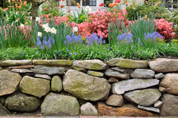 Stone Wall Hardscaping in Chesapeake