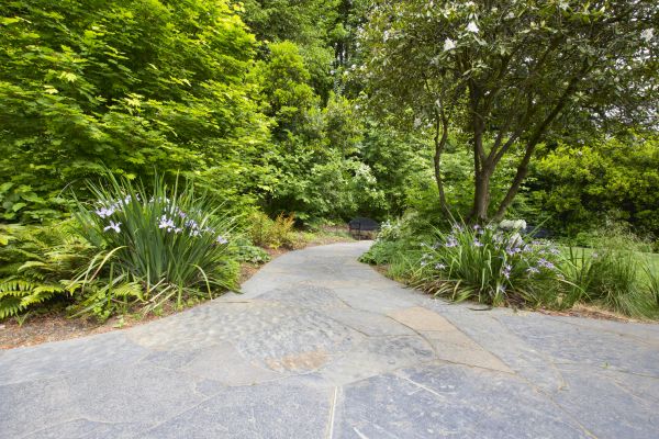 Stone Hardscape Service in Chesapeake
